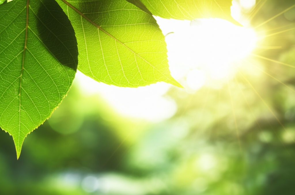환경이 약이다: 비약물적 섬망 간호 중재
